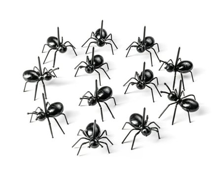 ANT party picks