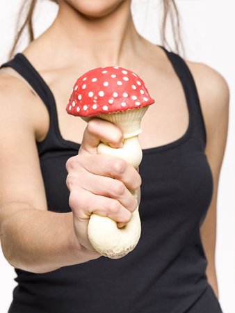 Antistress mushroom - FLY AGARIC