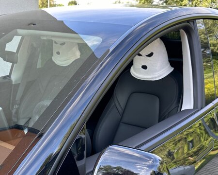 Car Headrest Balaclavas - 2 pcs.  