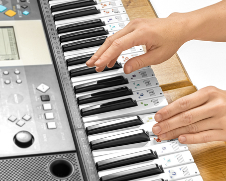 Keyboard & piano sticker