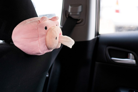 PIG tissue box cover