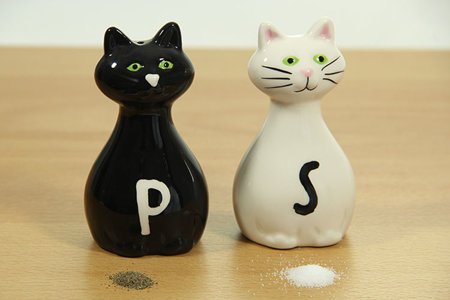 Salt & Pepper Shakers CATS