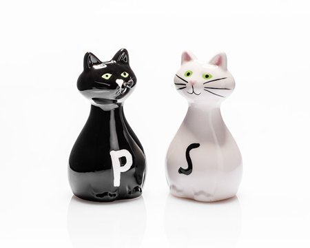 Salt & Pepper Shakers CATS