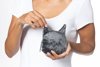 3D Cat coin bag model 3