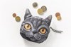 3D Cat coin bag model 4