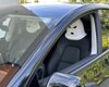 Car Headrest Balaclavas - 2 pcs.  