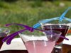 Dragonfly drink stirrer 4pcs.