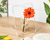 Flower frame vase - TRANSPARENT