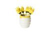 Fruit fork BEE 6 pcs