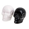 Salt & Pepper Shakers SKULLS