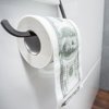 Toilet paper  DOLLAR XL