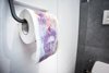 Toilet paper  SWISS FRANC XL