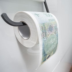 Toilet paper 100 PLN