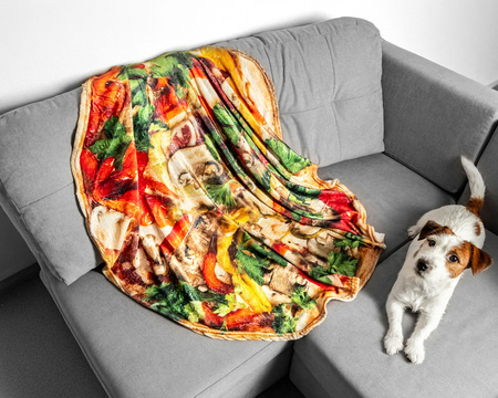 PIZZA blanket