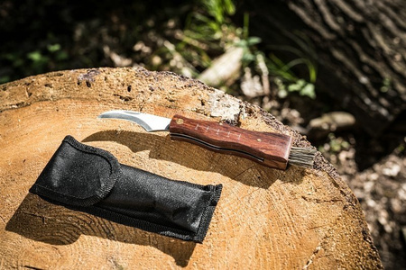 Mushroom knife with brush and etui