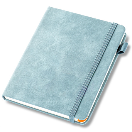 Password organizer