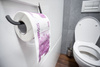 Toilet paper 500 EUR XL