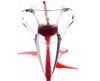 Wine aerator Amphora