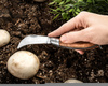 Garden & mushroom knife sickle-shaped 