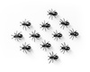 ANT party picks