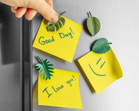 Fridge magnets LEAF - 4 pcs.