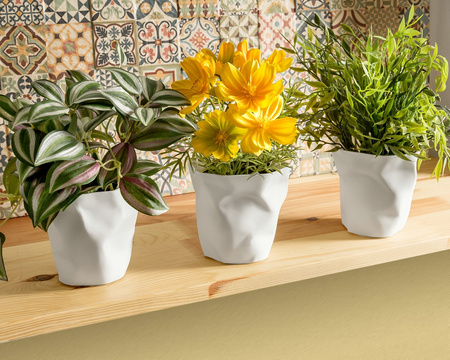 Pen holders & planters CRUSHED CUPS 3 pcs