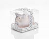 Piggy coin bank