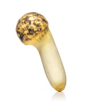 Antistress mushroom - King Trumpet Mushroom