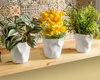 Pen holders & planters CRUSHED CUPS 3 pcs