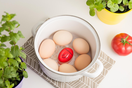 Egg timer