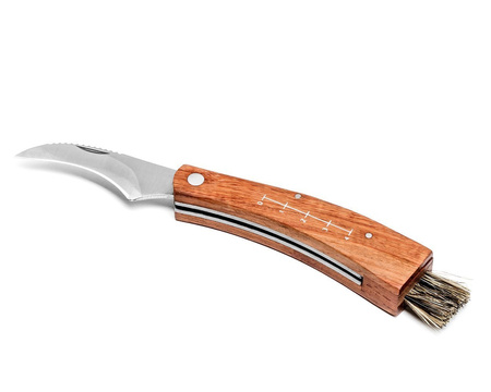 Curved mushroom knife with brush