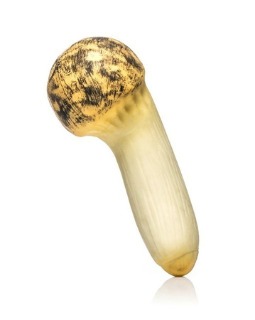 Antistress mushroom - King Trumpet Mushroom