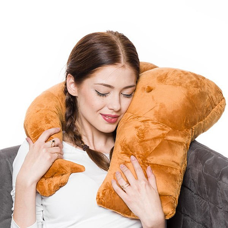 Friend pillow