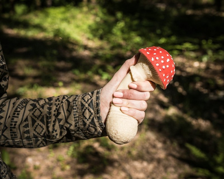 Antistress mushroom - FLY AGARIC