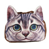 Cat bag model 2