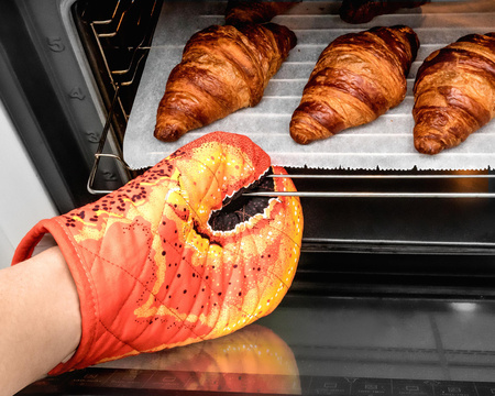 Kitchen gloves - LOBSTER