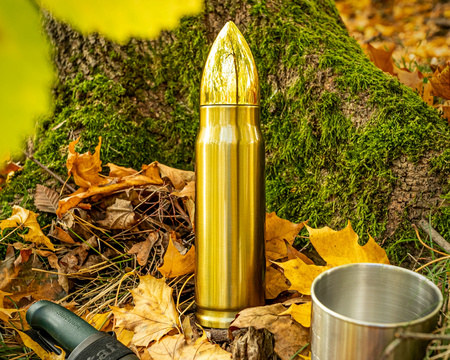 Bullet thermos MAX 500 ml - BRASS