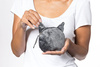 3D Cat coin bag model 4