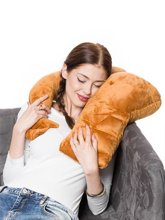 Friend pillow