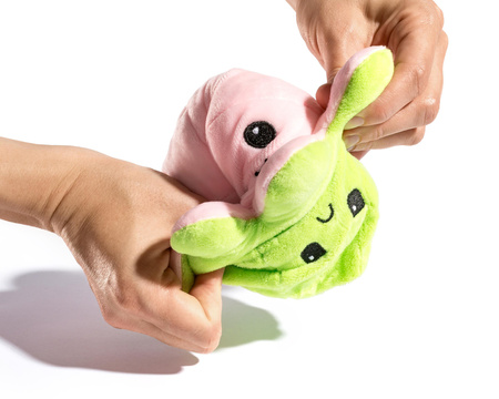 Reversible plush toy - octopus (pink - green)