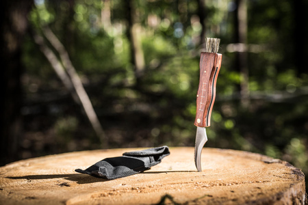 Mushroom knife with brush and etui