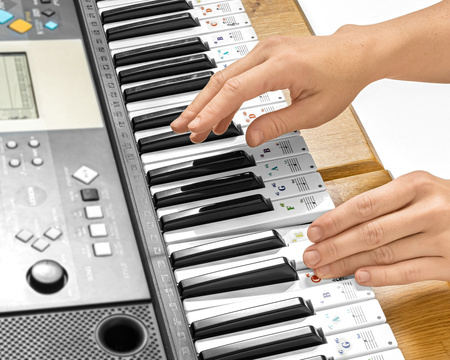 Keyboard & piano sticker