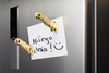 Ninja knife magnets - GOLDEN