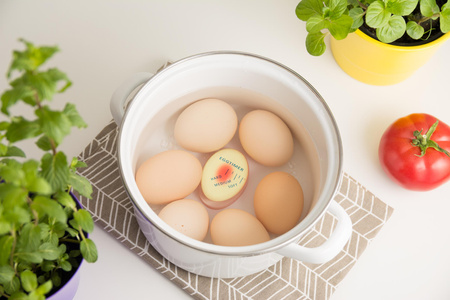 Egg timer