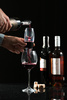 Wine aerator classic