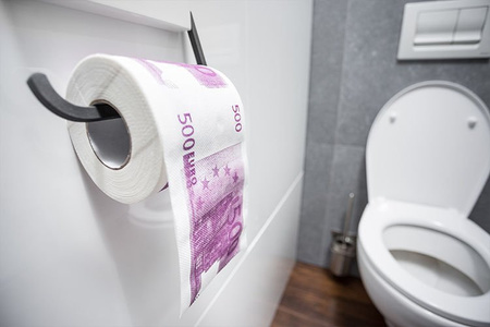 Toilet paper 500 EUR XL