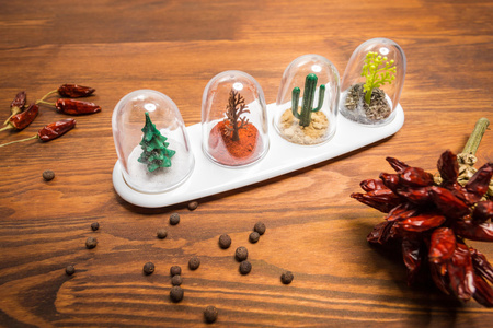 Spice Shakers - Four Seasons